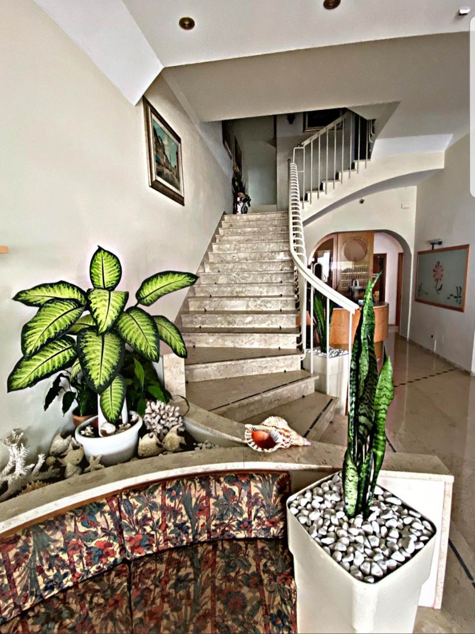 hotel adriatica hall