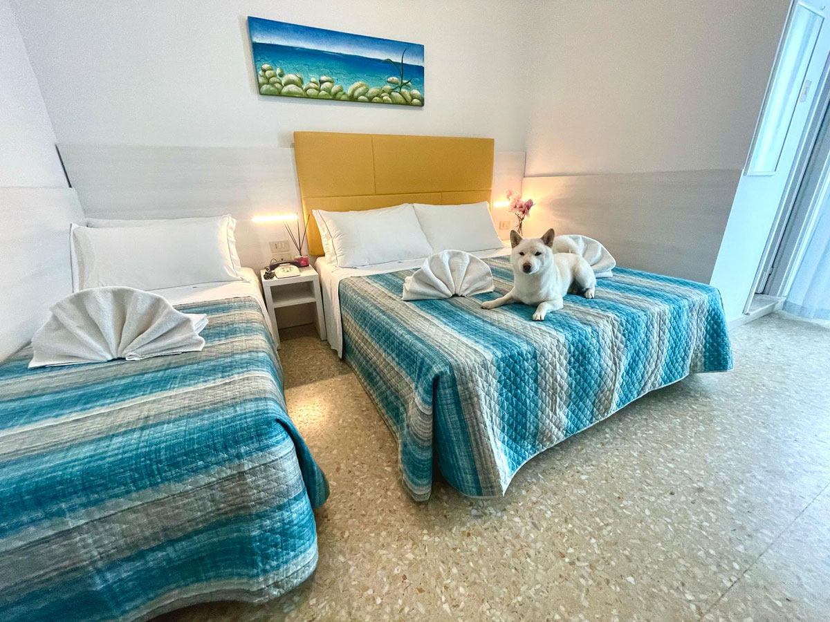 hotel crystal camera tripla